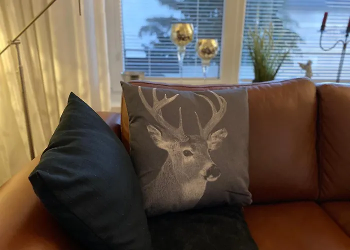 Katzentraum 아파트